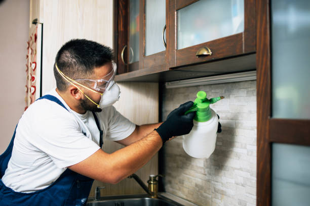 Best Pest Removal Services  in Bar Nunn, WY